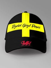 Unisex St David's Day Wales Proud Printed Hat